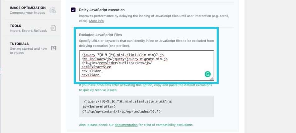 Delay JavaScript Execution provisto
